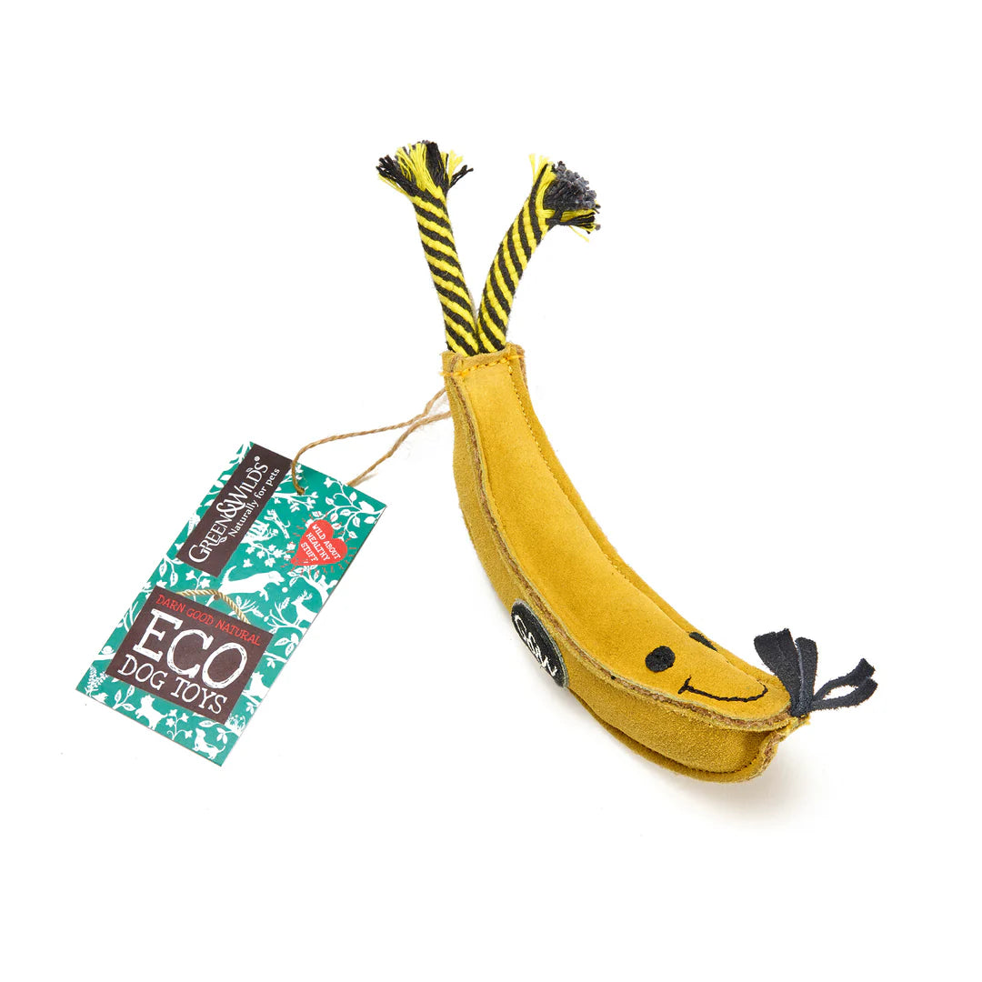 Barry the banana eco dog toy laid on an all white background.