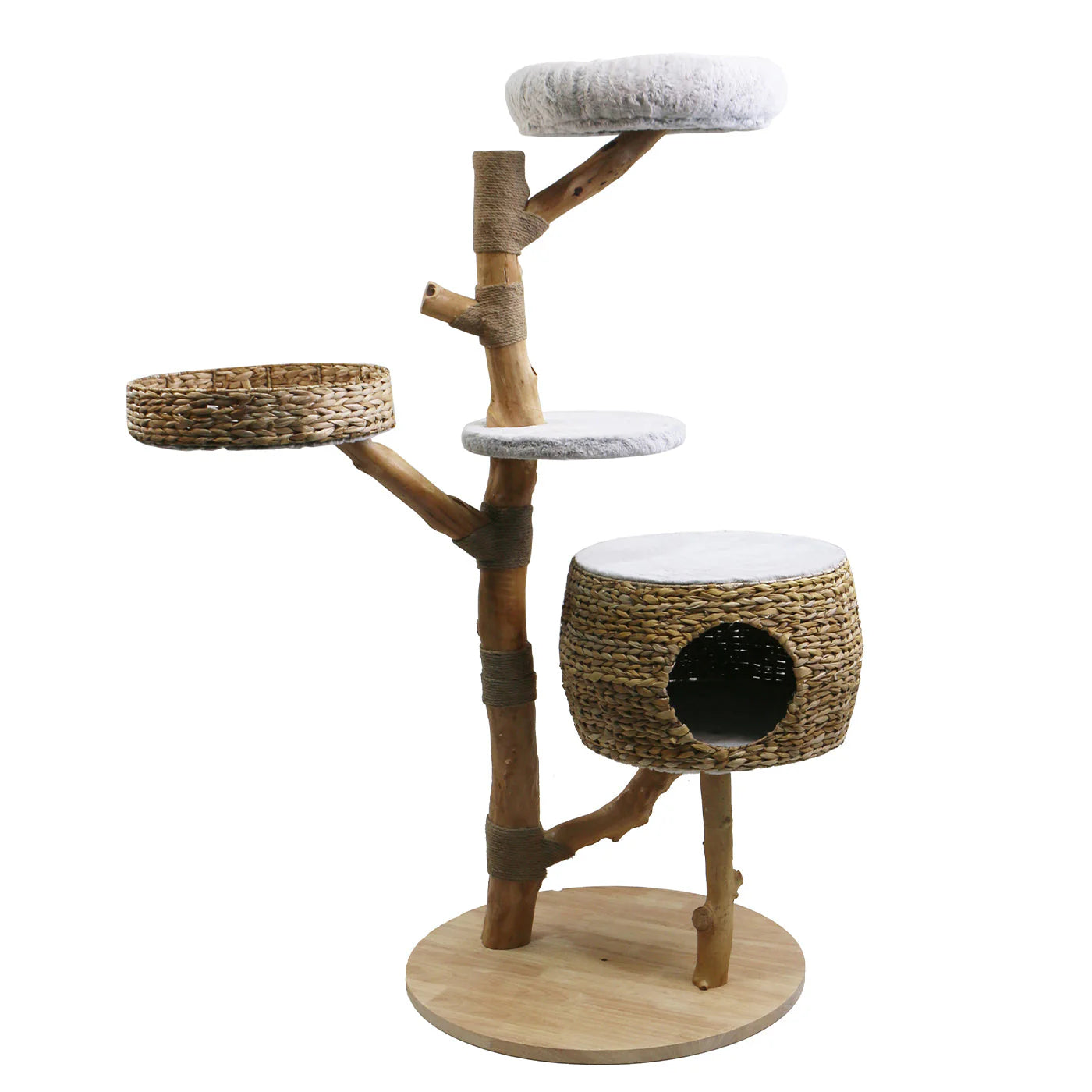 A cat scratching tree tower on an all white background.