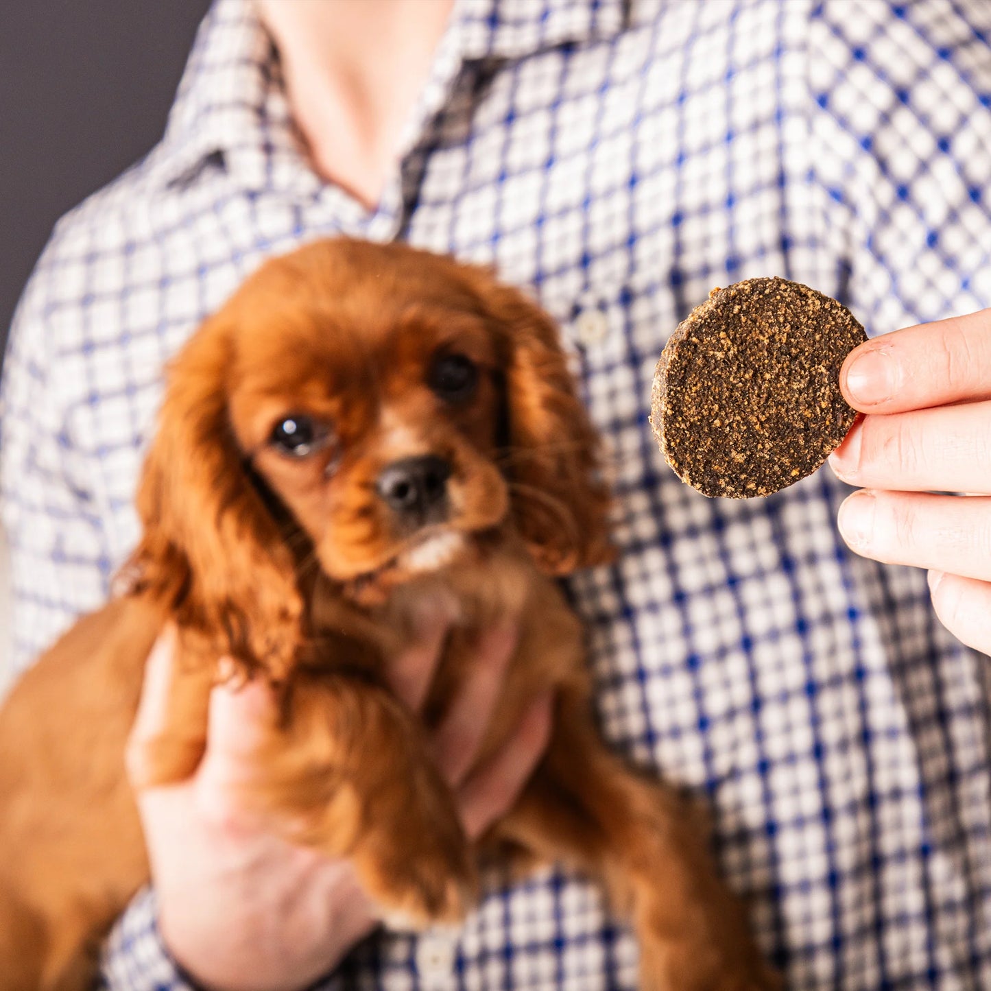 Person holding a small brown dog and gourmet burgers natural dog treats, wearing a checkered shirt.