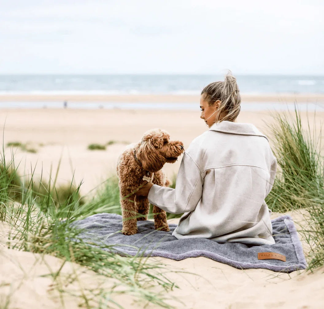 Owner and dog relaxing outdoors with a dog blanket on the sand dunes