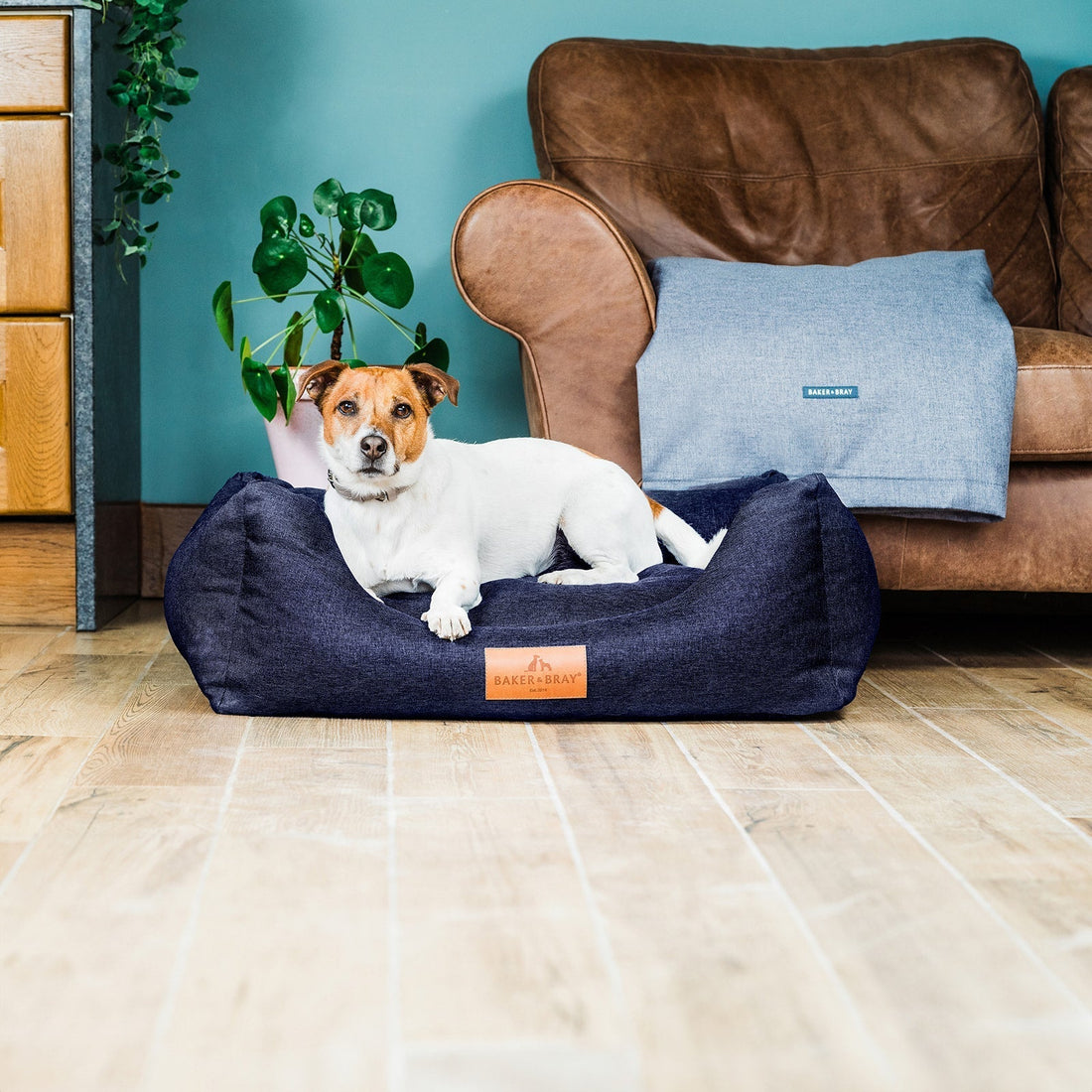 Dog relaxing on an orthopaedic dog bed with raised bolsters in a modern home