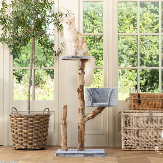 Indoor cat tree with a large long haired cat resting on the top platform