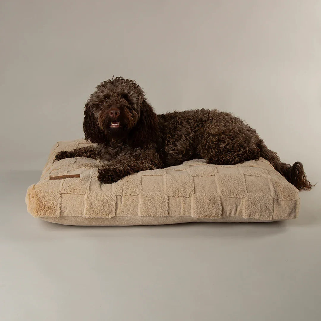 Comfiest dog bed shown in a calm home setting with full body support