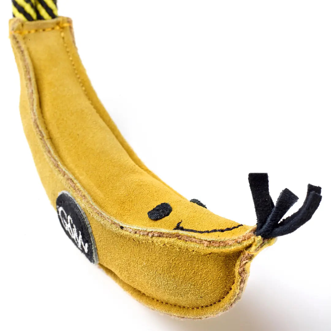 A zoomed in close up of Barry the banana eco dog toy laid on an all white background.