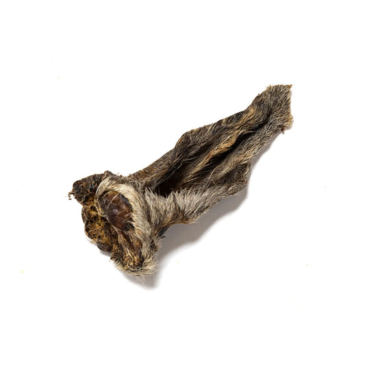 A hairy lamb ear natural dog treat laid on an all white background.
