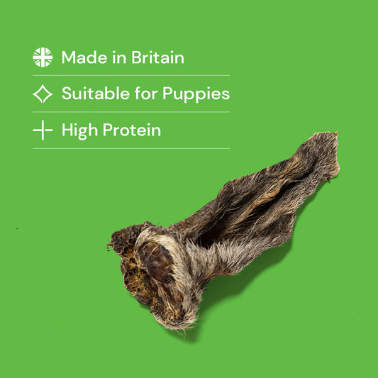 Lamb Ears - Natural Dog Treats
