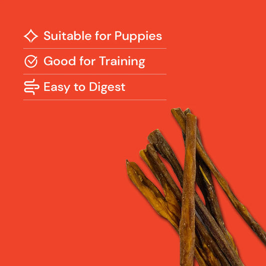 Beef Spaghetti - Natural Dog Treats