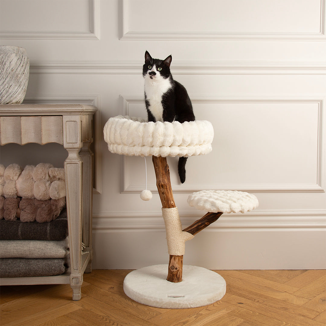 Cat sitting on a cream cat tree with wooden legs in a room.