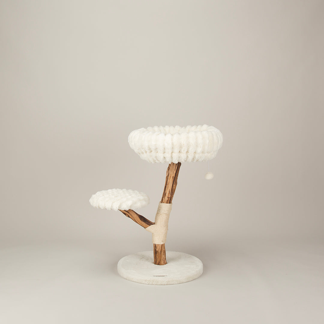 Cat tree with wooden structure and white cushion on a plain background