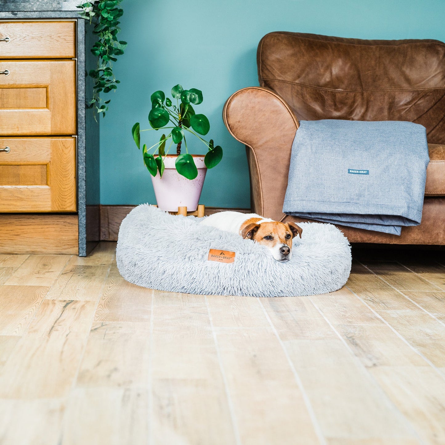 Dog lying on Baker & Bray calming donut dog bed light grey in home
