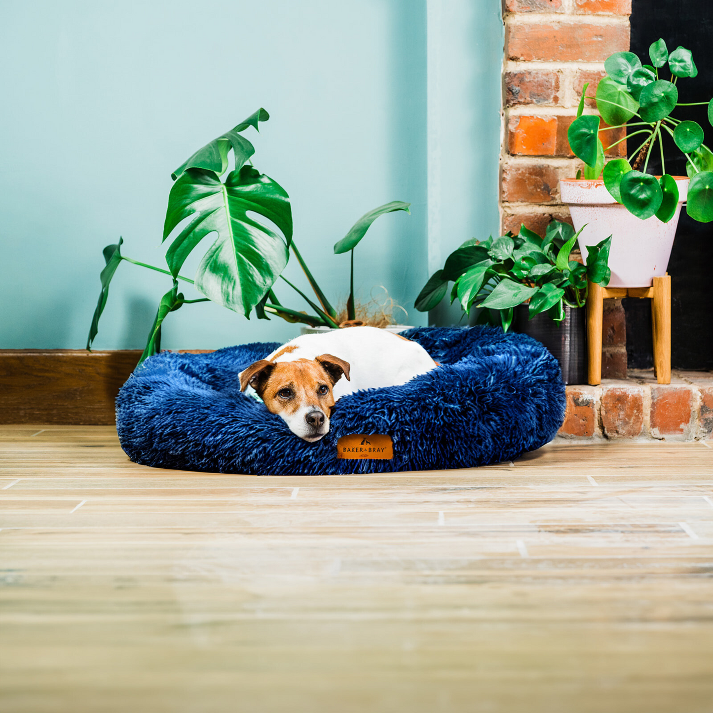 Dog lying on Baker & Bray calming donut dog bed navy in home