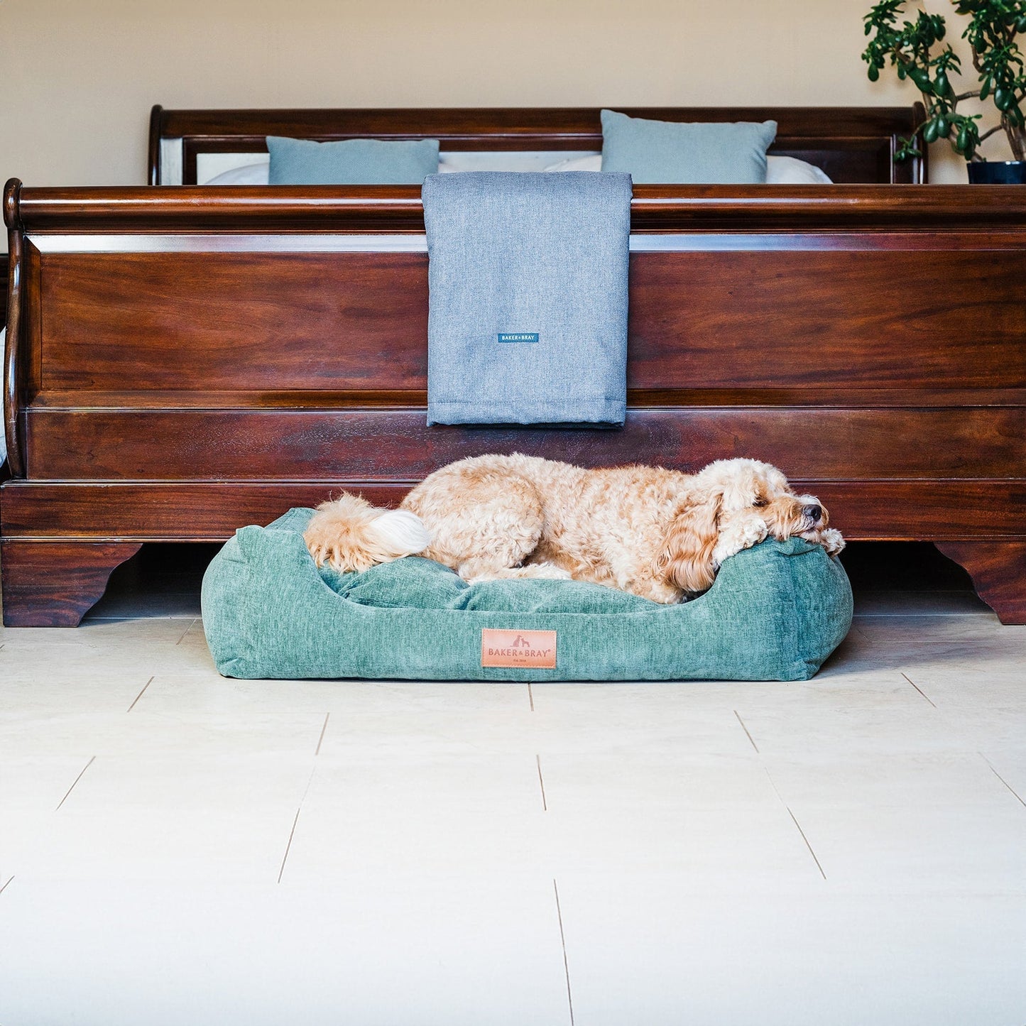 Dog resting on Baker & Bray ultimate orthopaedic dog bed sage green in bedroom