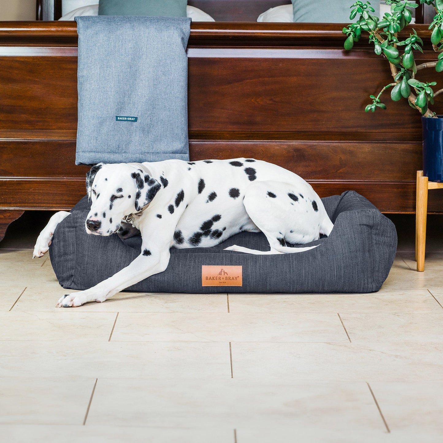 Large dog resting on a slate grey orthopaedic dog bed with bolsters