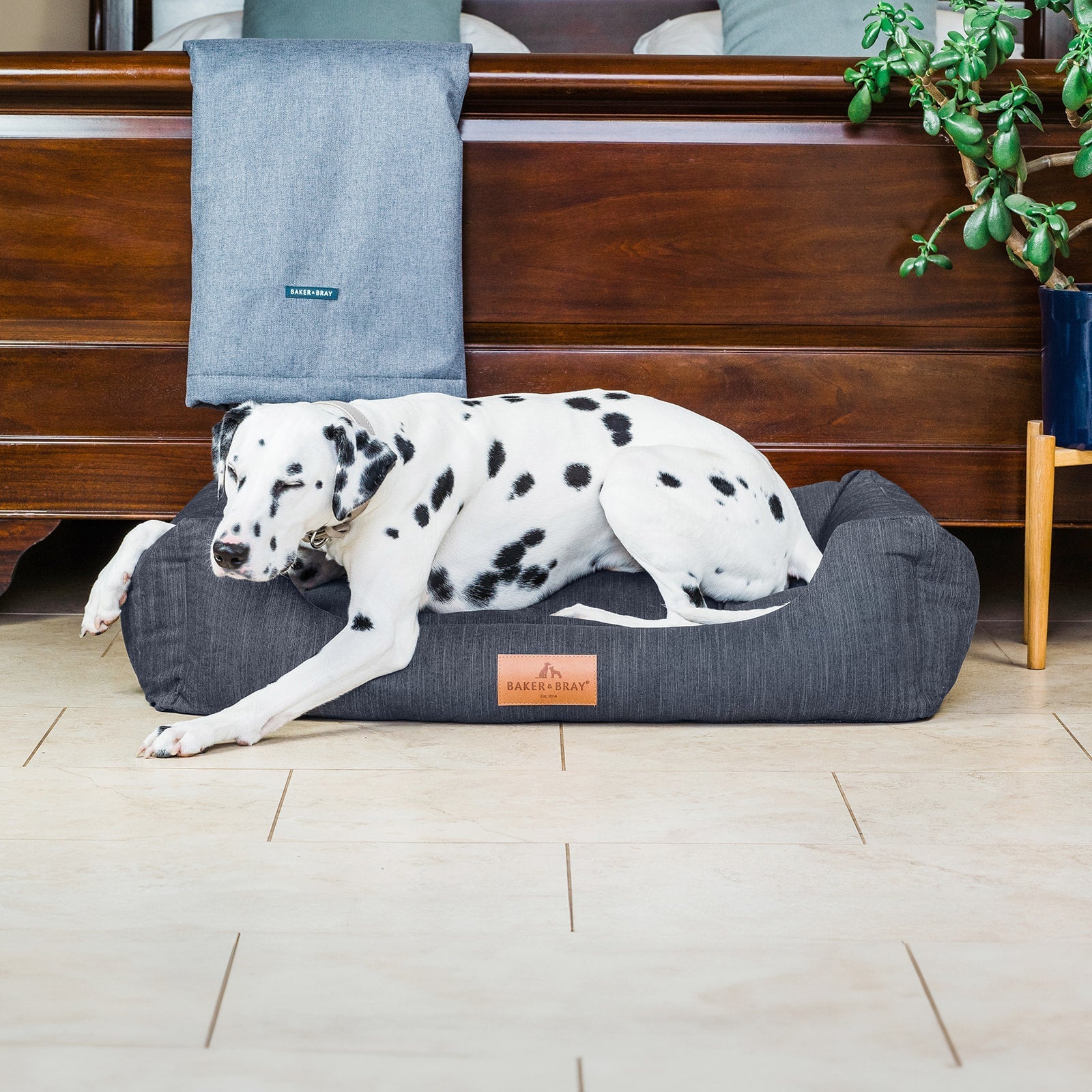 Large dog resting on a slate grey orthopaedic dog bed with bolsters