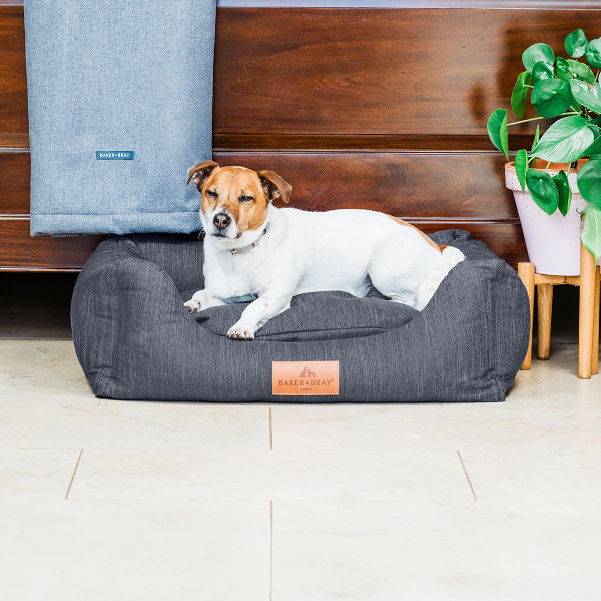 Dog lying on a Baker & Bray slate grey orthopaedic dog bed in a home setting