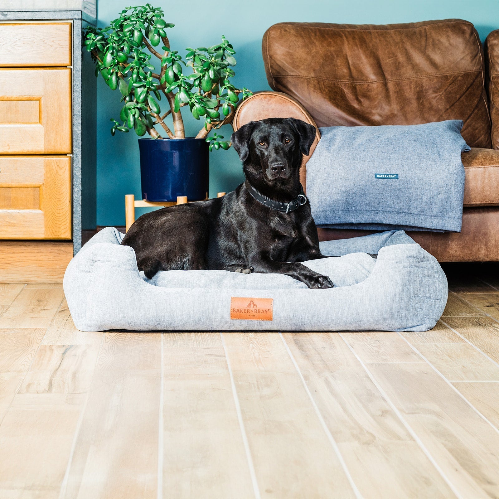 Black dog resting on a stone grey orthopaedic dog bed with bolsters