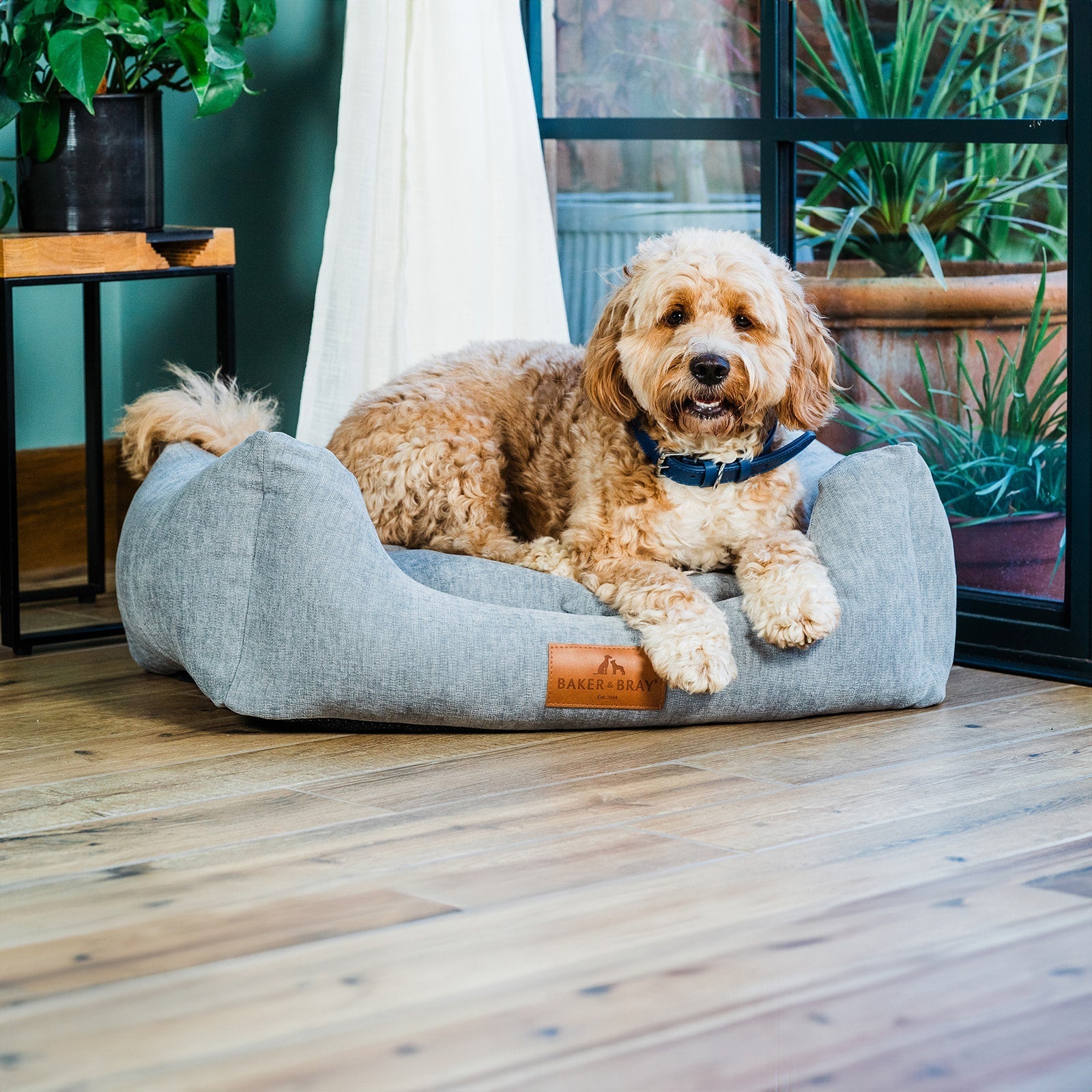 Dog lying on a Baker & Bray stone grey orthopaedic dog bed in a home setting