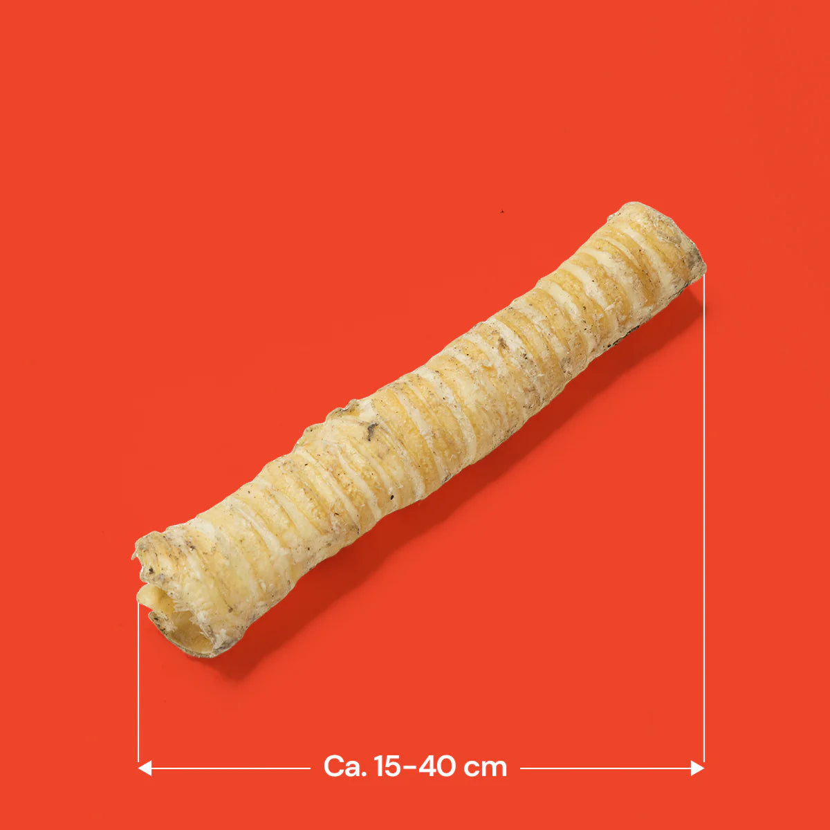 Beef trachea natural dog treats on an all red background showing the dimensions.