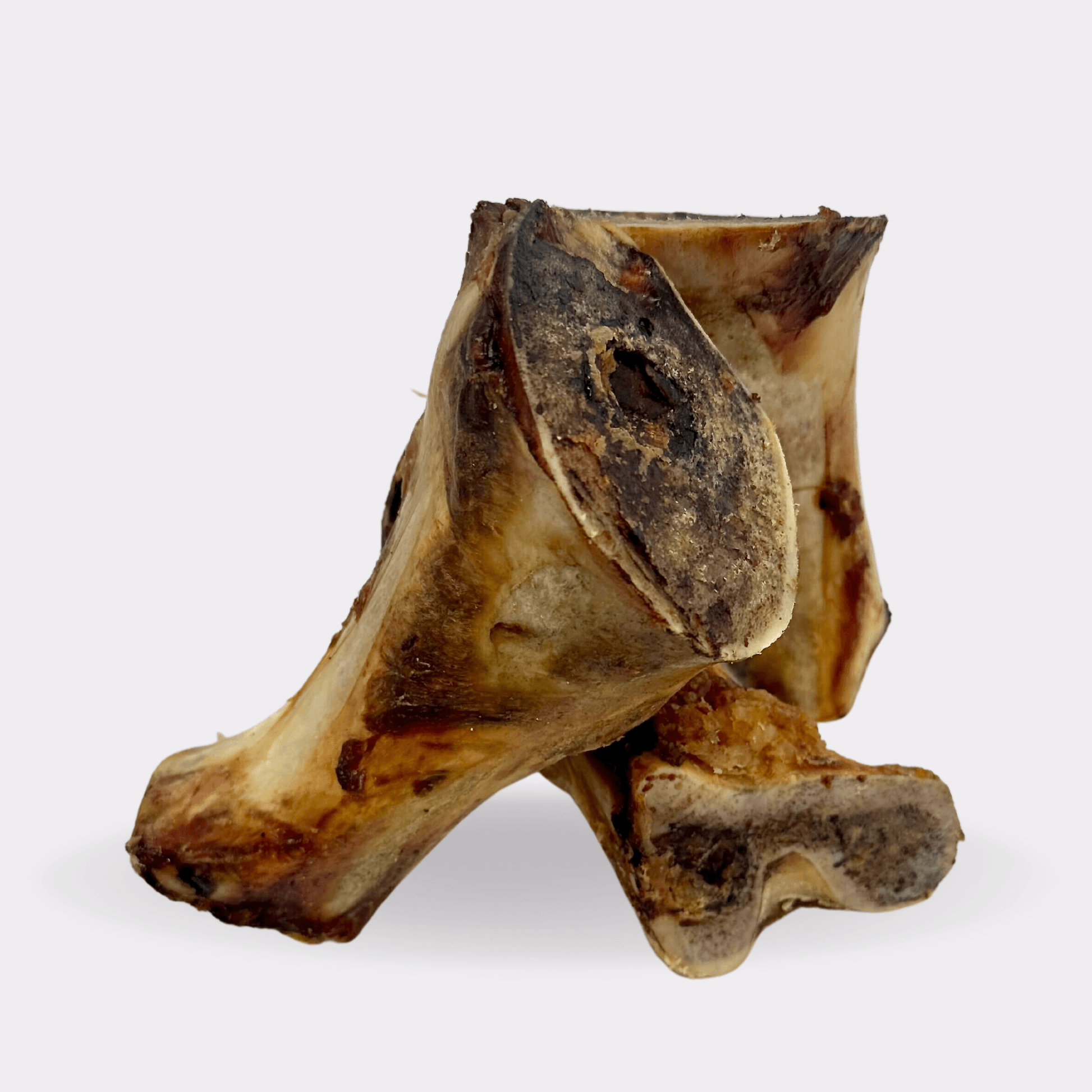 Roasted British beef marrow bone natural dog treats on an all white background.