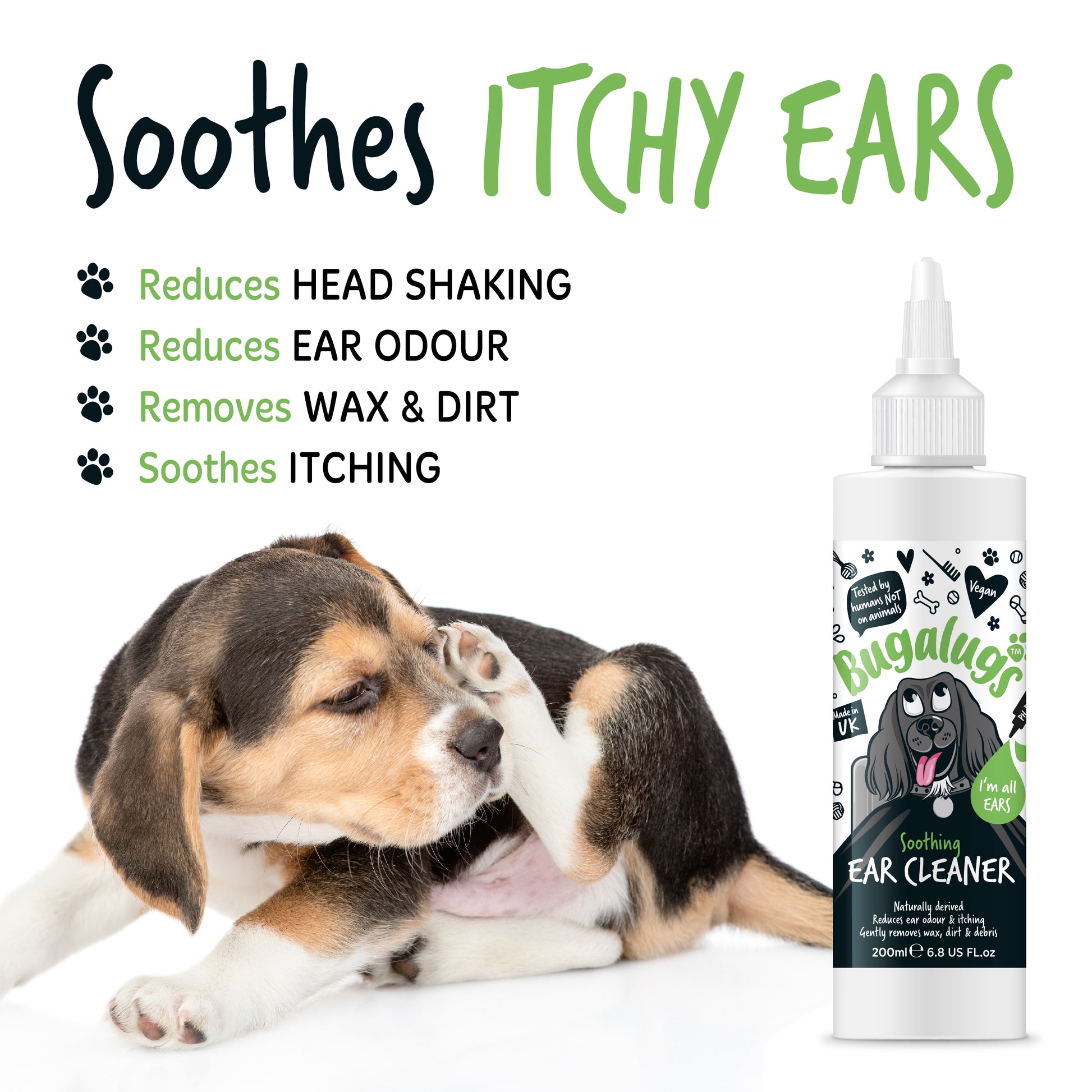 A bottle of Bugalugs dog and cat ear cleaner and a beagle puppy itching its ears while sat down on an all white background.