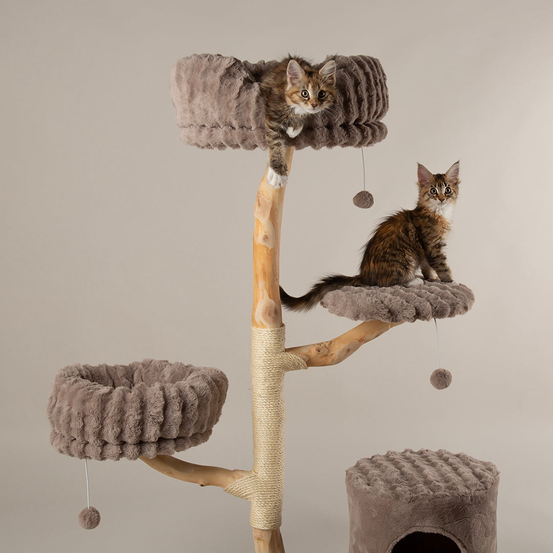 Cat tree tower with multiple levels and two cats sitting on two of the platforms.