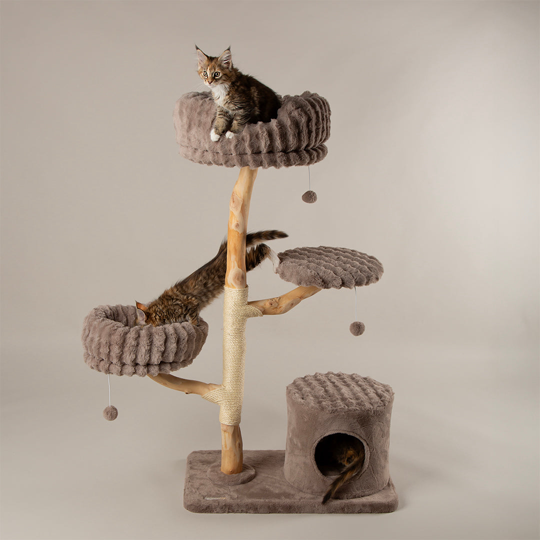 Cat tree tower with multiple levels and a cat sitting on top against a neutral background