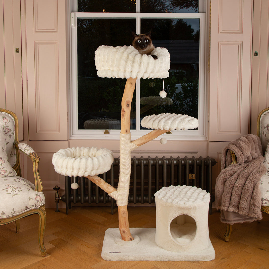 Cat tree tower with a cat perched on top in a room with decorative chairs and a window.