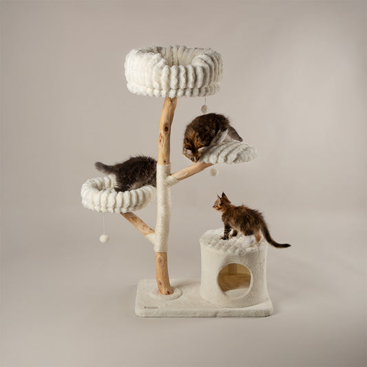Cat tree tower with multiple levels and a cat climbing on it against a plain background