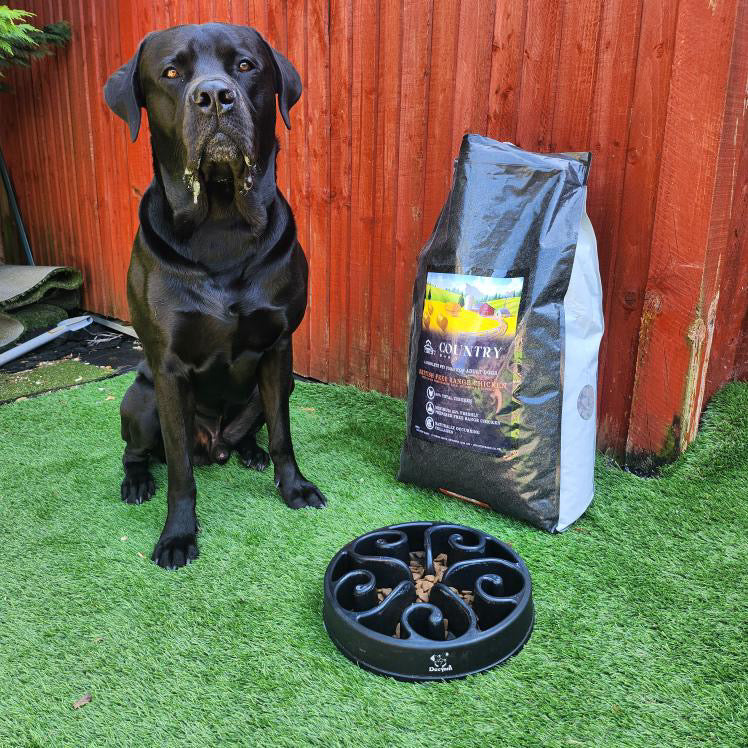 Dog beside Country Barn British Free Range Chicken Adult Dog Food with feeding bowl