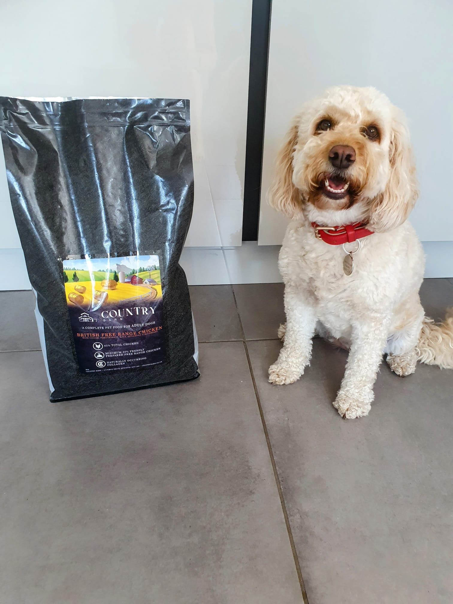 Small dog beside Country Barn British Free Range Chicken Adult Dog Food