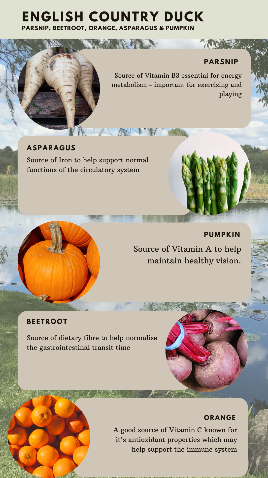 Key benefits of Country Barn Country English Duck Adult Dog Food