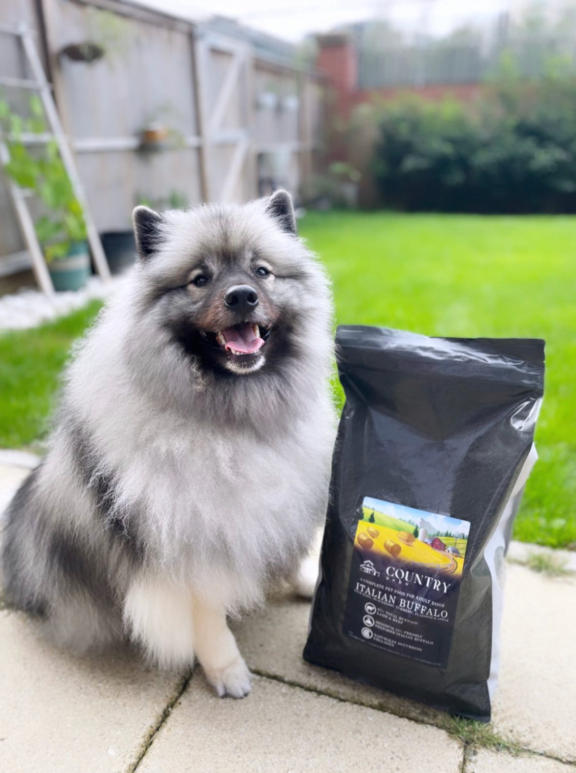 Dog beside Country Barn Italian Buffalo Adult Dog Food