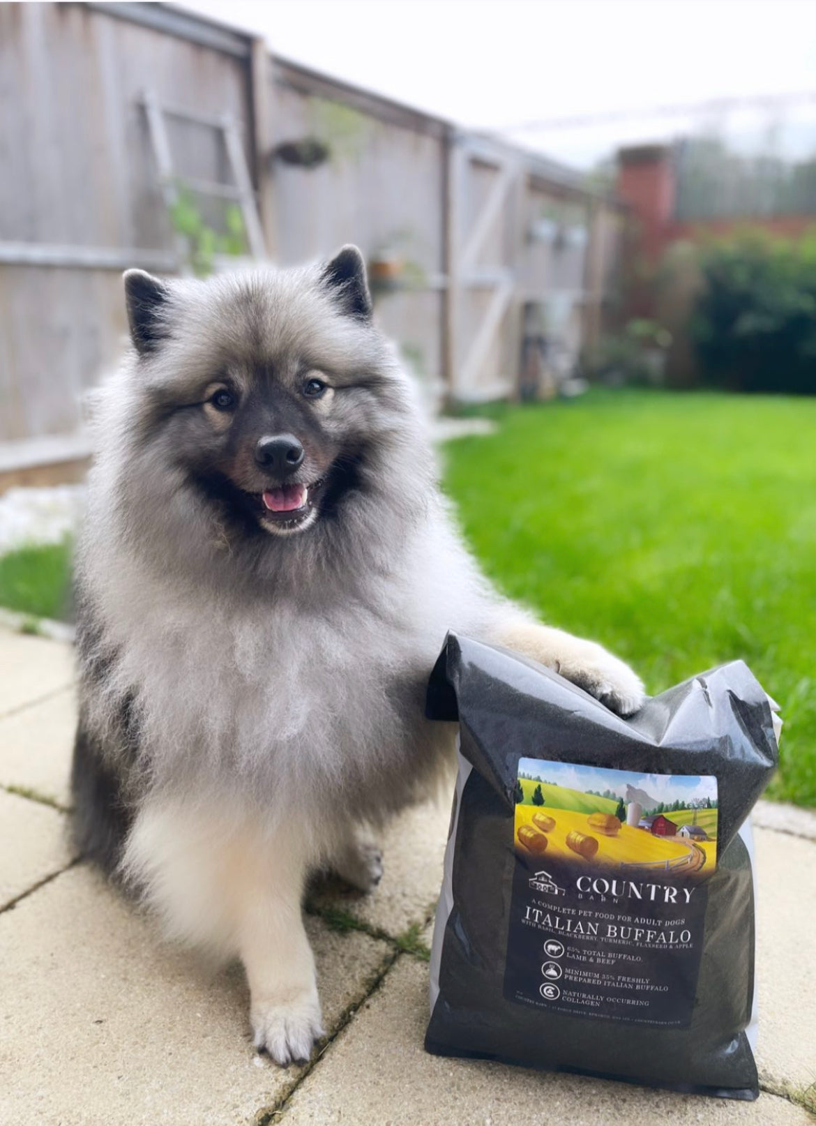 Dog with Country Barn Italian Buffalo Adult Dog Food