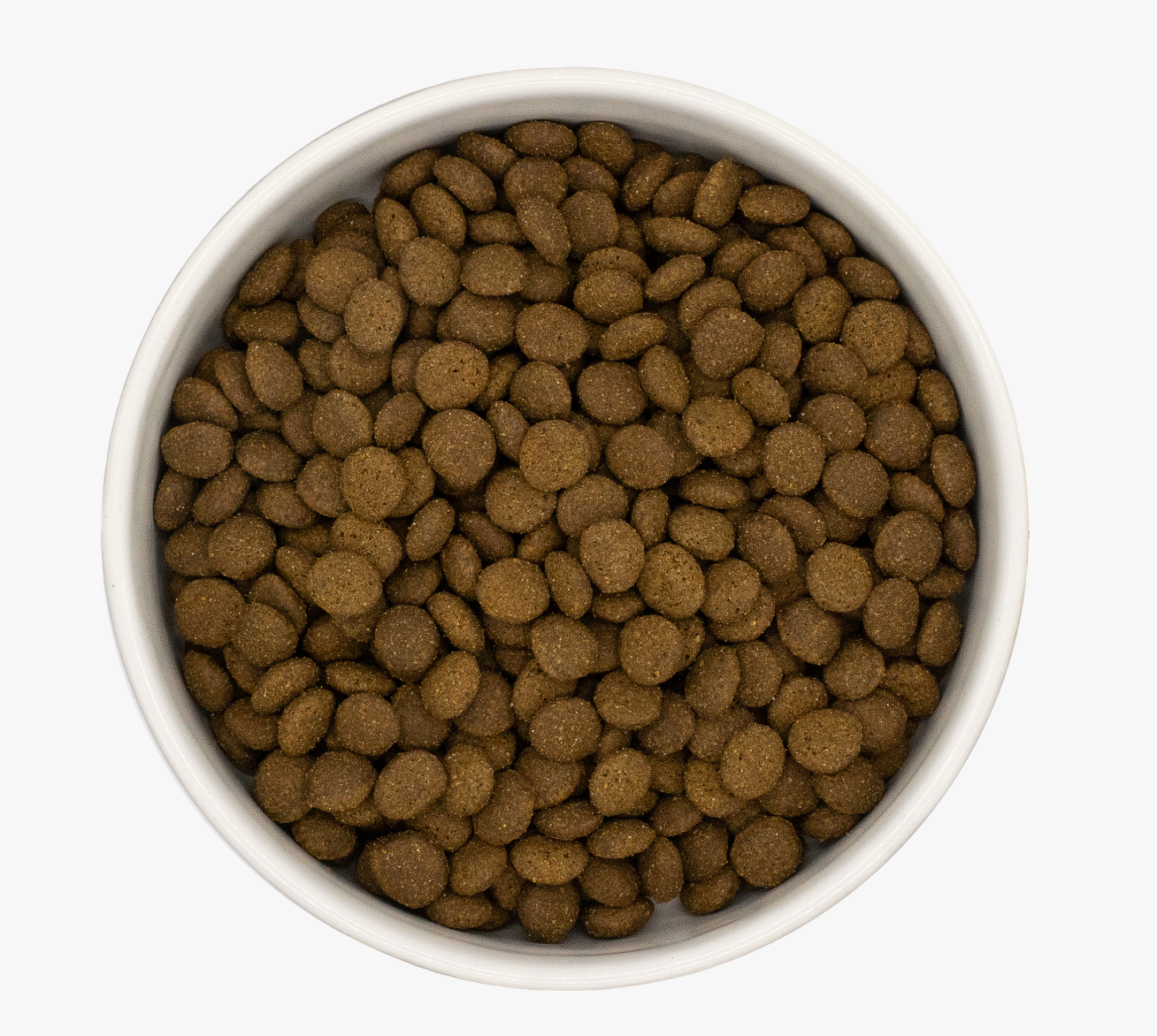 Country Barn Salmon & White Fish Dry Cat Food kibble
