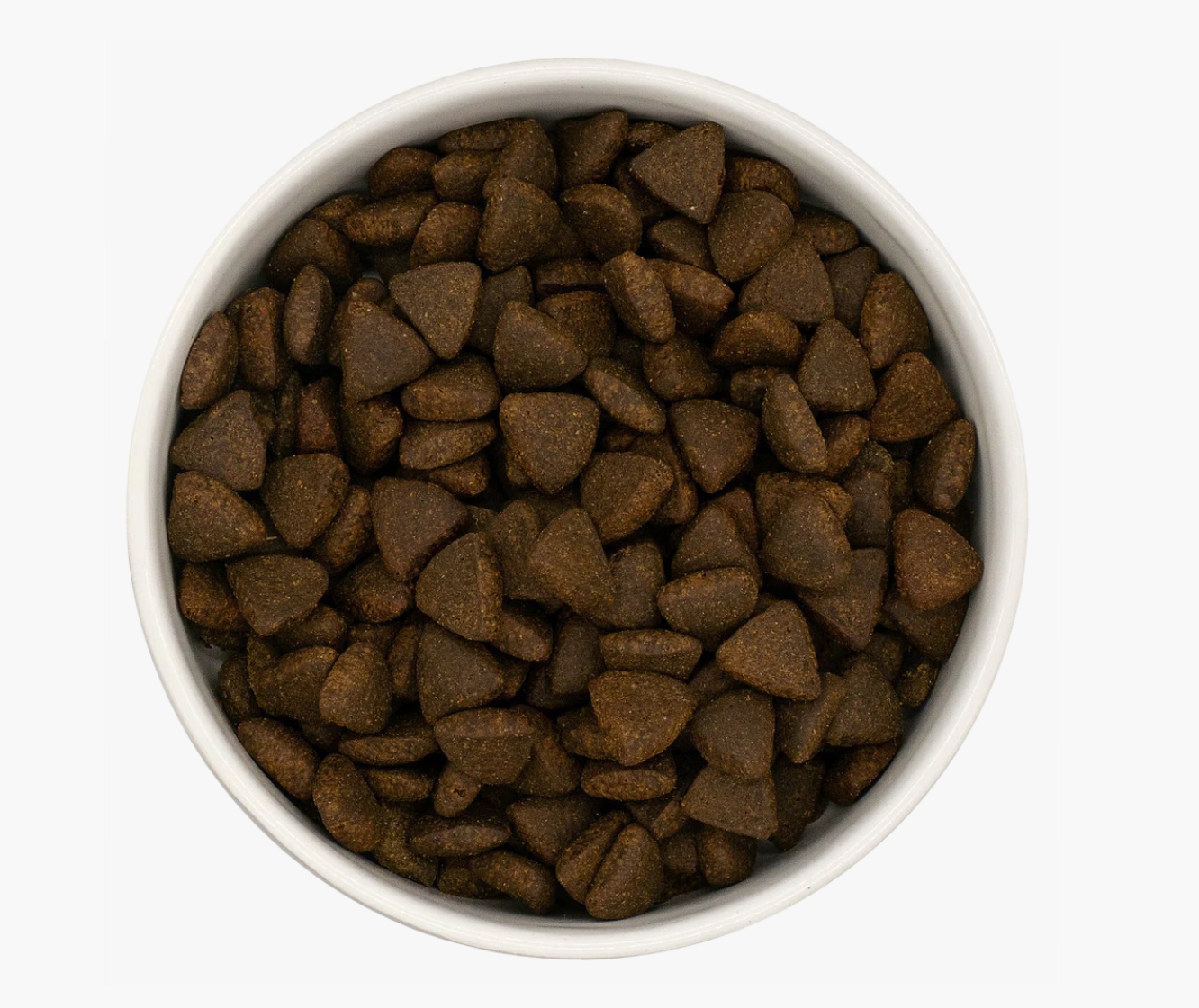 Country Barn Scottish Salmon Adult Dog Food kibble
