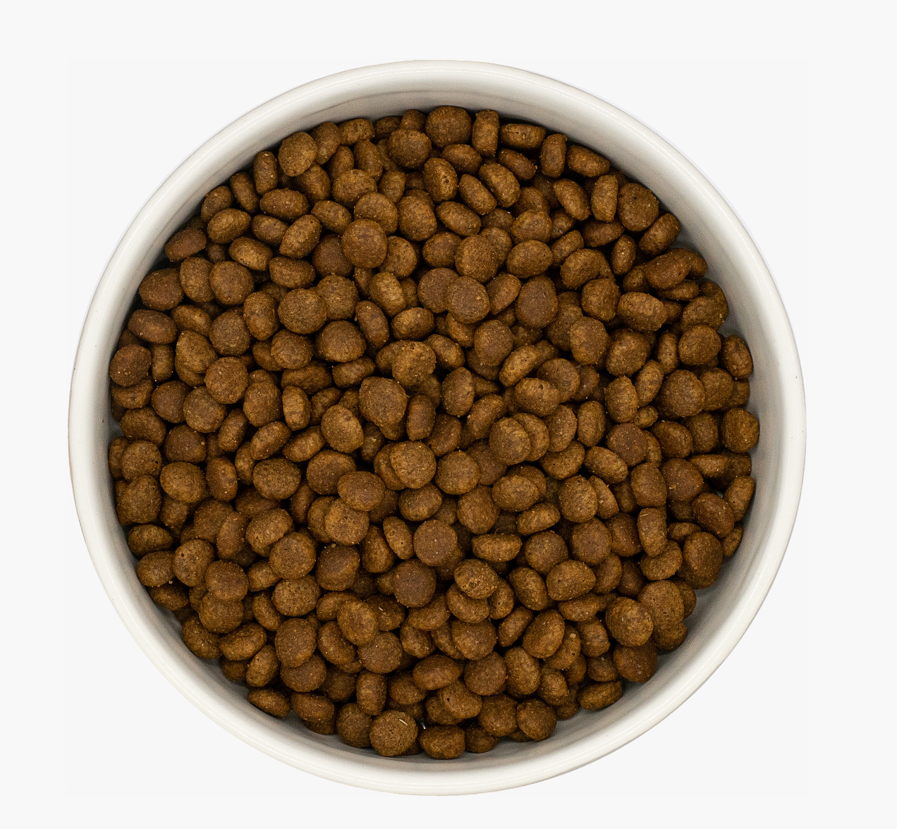 Country Barn Turkey & Chicken Dry Kitten Food kibble