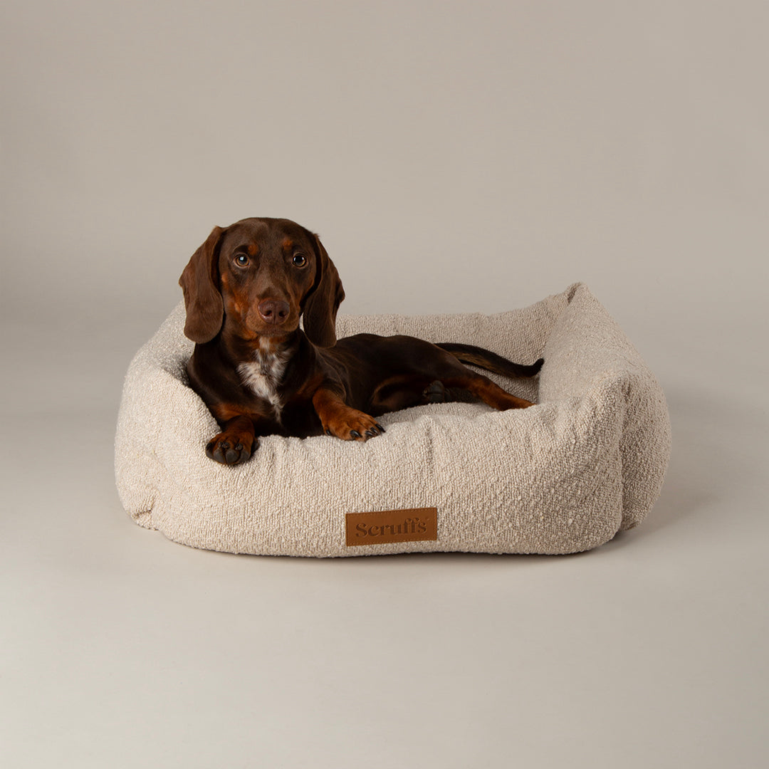Dog lying on a fluffy beige dog bed with a brand label against a neutral background