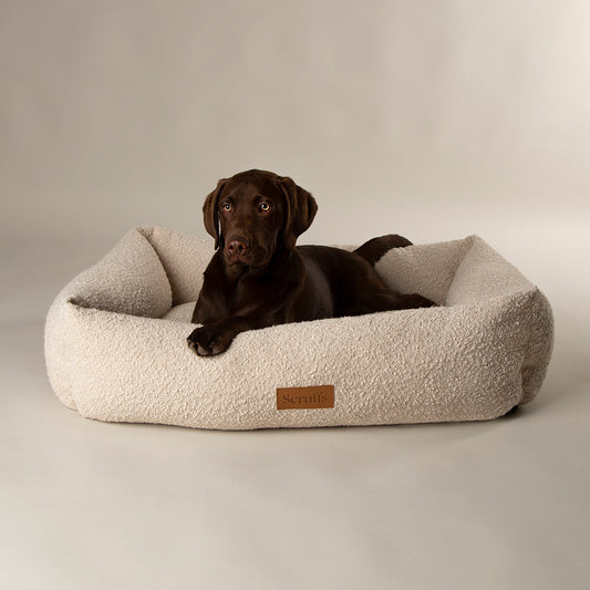 Dog lying on a fluffy beige dog bed with a neutral background