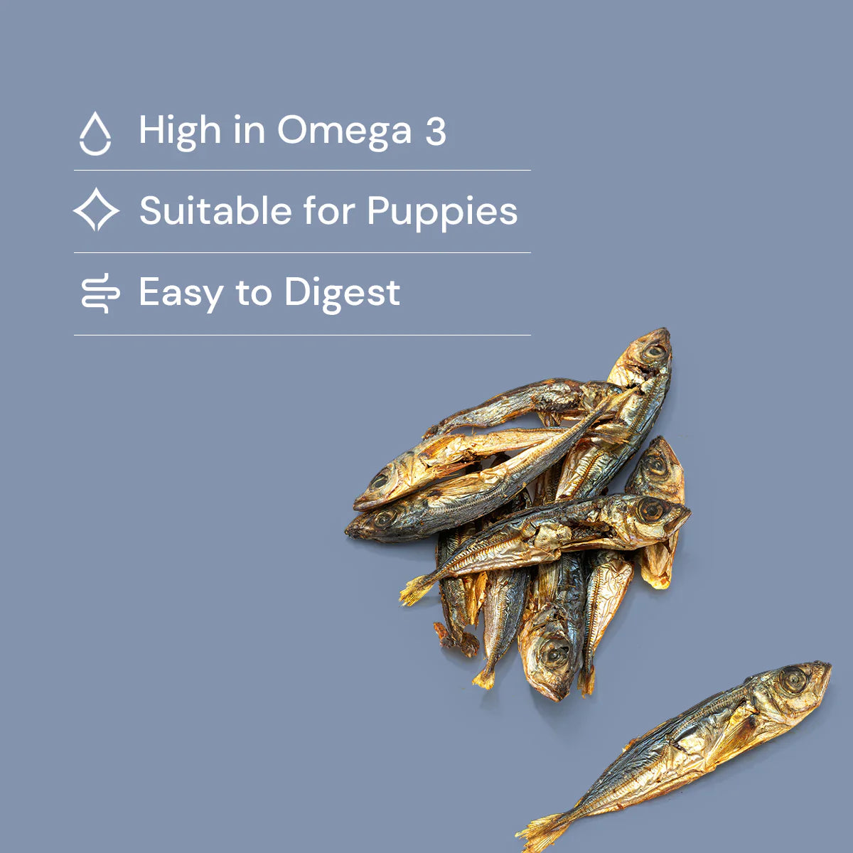 Dried sprats fish natural dog treats on a blue background with text about omega 3, suitability for puppies, and ease of digestion.