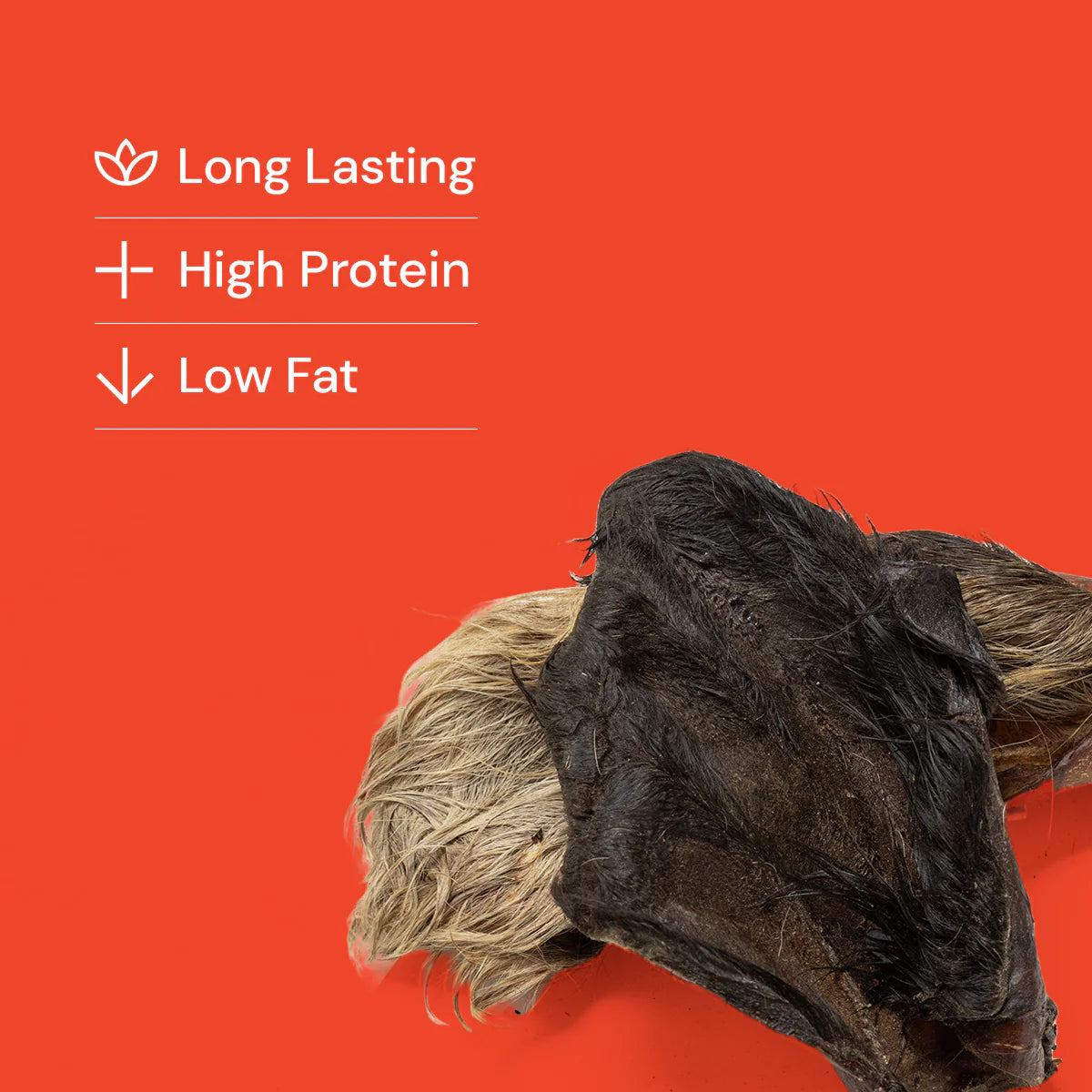 Hairy cow ears natural dog treats and text highlighting 'Long Lasting', 'High Protein', and 'Low Fat' on a red background with a close-up of protein powder.