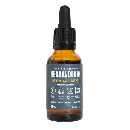 The front of a 30ml bottle of Herbaflex Dog Joint Supplements Tonic by Herbal Dog Co. on a white background.