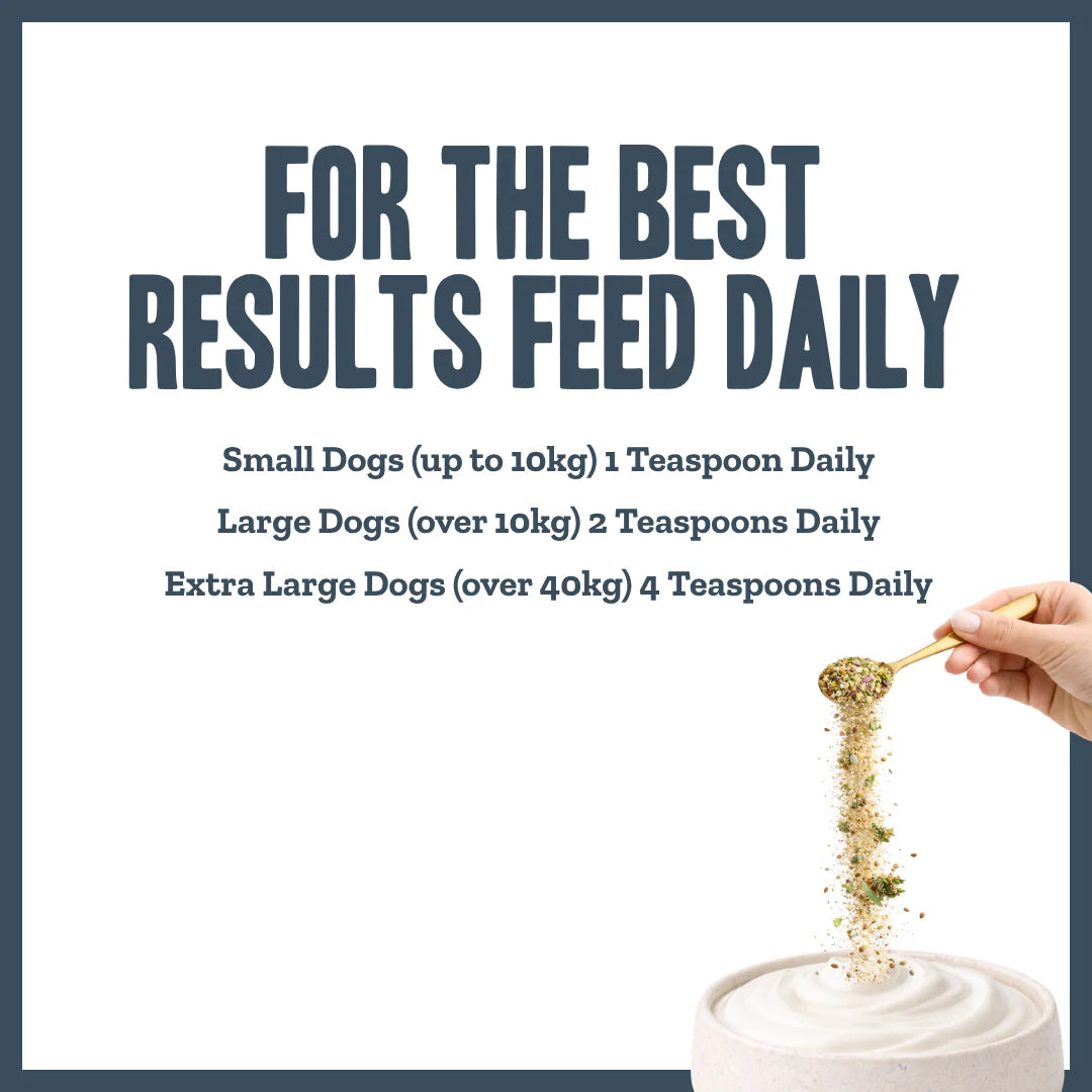 Body Boost Multivitamin For Dogs feeding guide