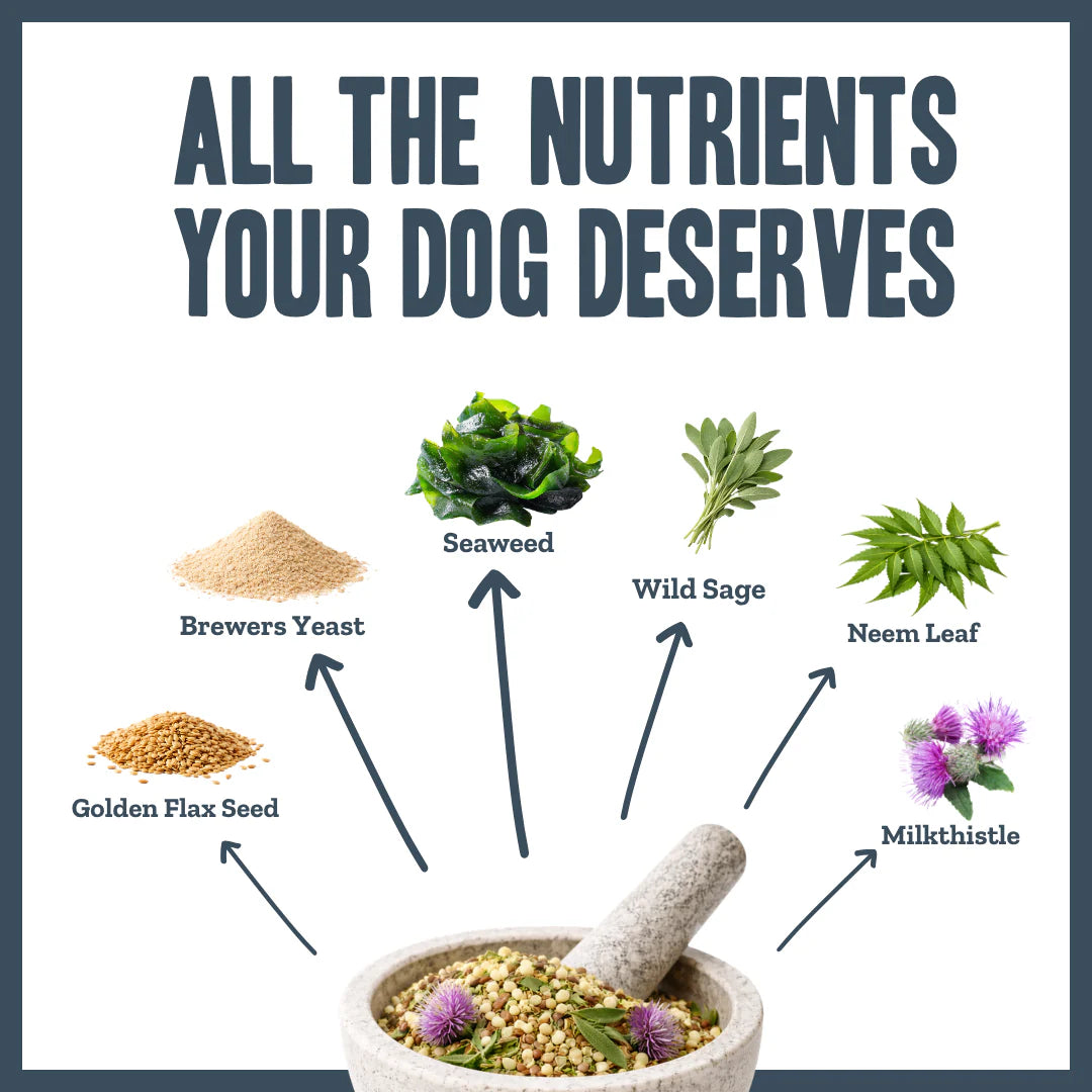 Ingredients used in Body Boost multivitamin for dogs including seaweed, milk thistle, neem leaf, wild sage, flax seed and brewers yeast