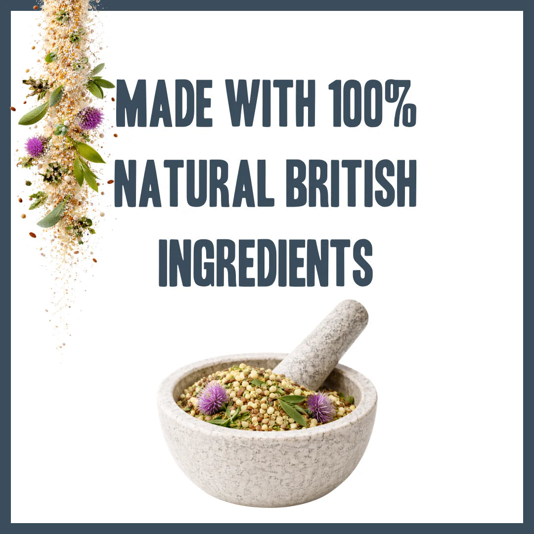 Natural British ingredients used in Body Boost multivitamin for dogs