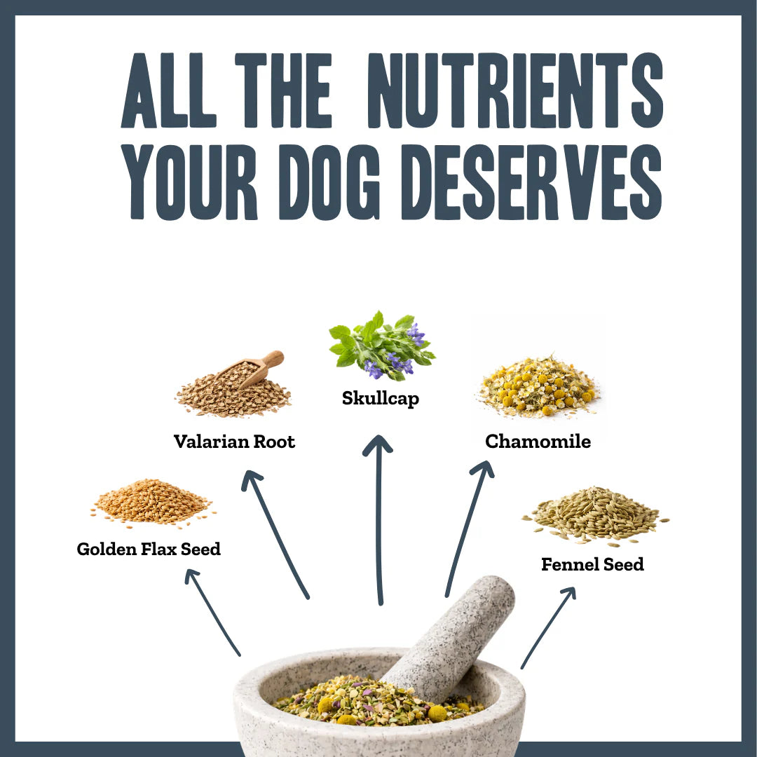 Ingredients used in Herbacalm Calming Dog Supplements including chamomile, skullcap, valerian root, fennel seed and flax seed