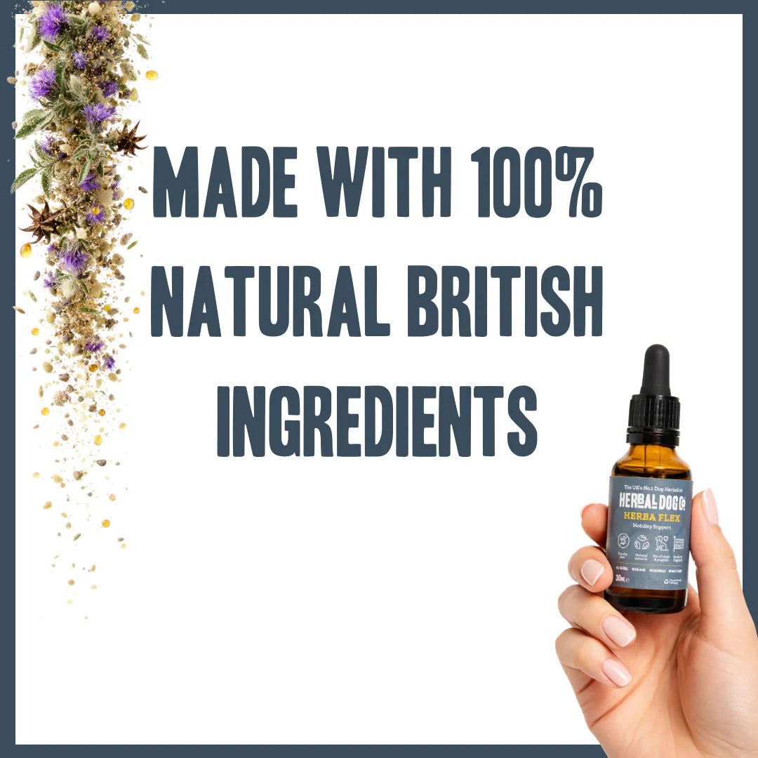 Natural British ingredients used in Herbaflex Joint Support Tonic