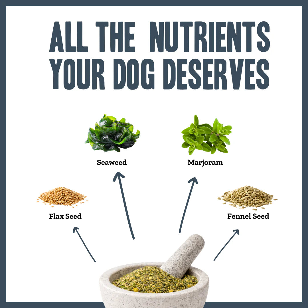 Ingredients used in Herbal Dog Co Plaque Protect dental supplement