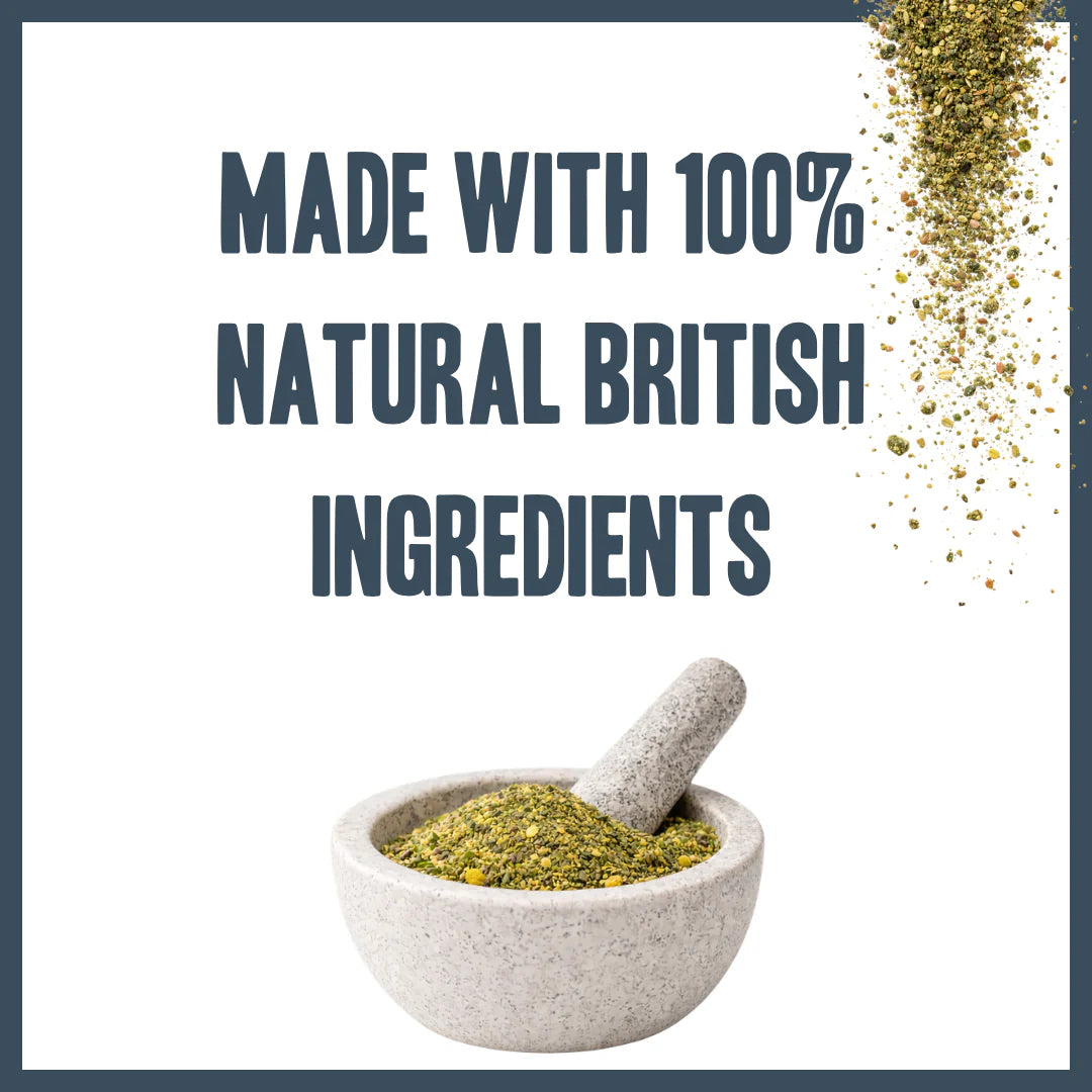 Natural ingredients used in Herbal Dog Co Plaque Protect dental supplement