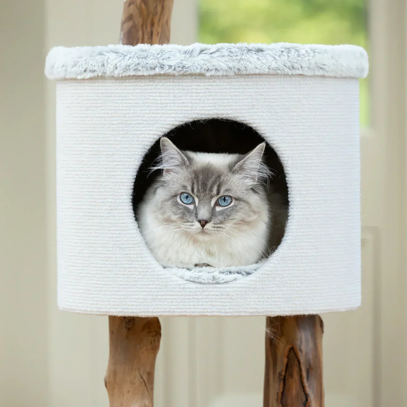 Cat inside the enclosed cave bed of the Lords & Labradors Back To Nature High Rise Cat Tree