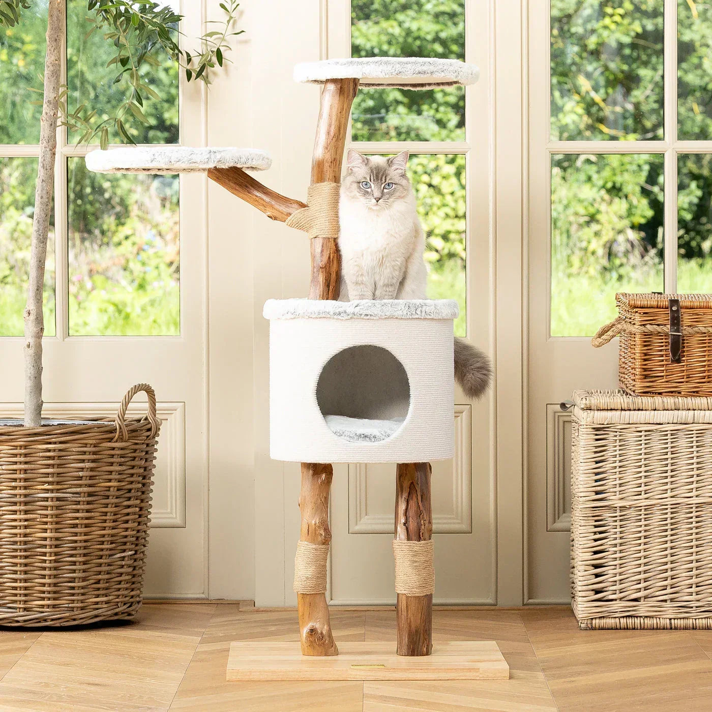 Lords & Labradors Back To Nature High Rise Cat Tree in a living room with a cat sitting on the platform